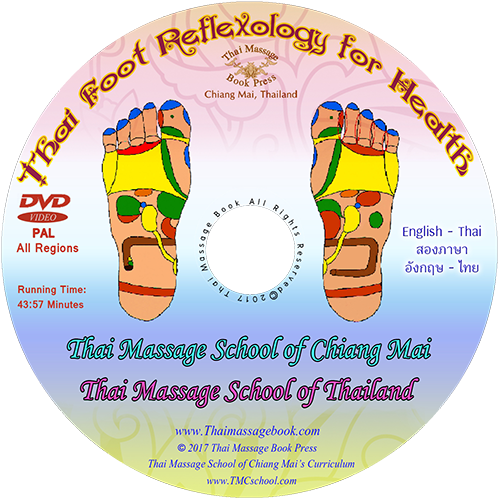 Thai Foot Reflexology Chart