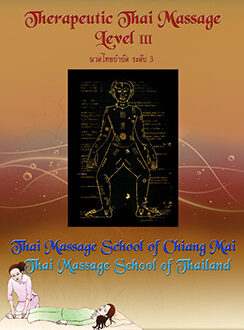 Therapeutic Thai Massage: Level III
